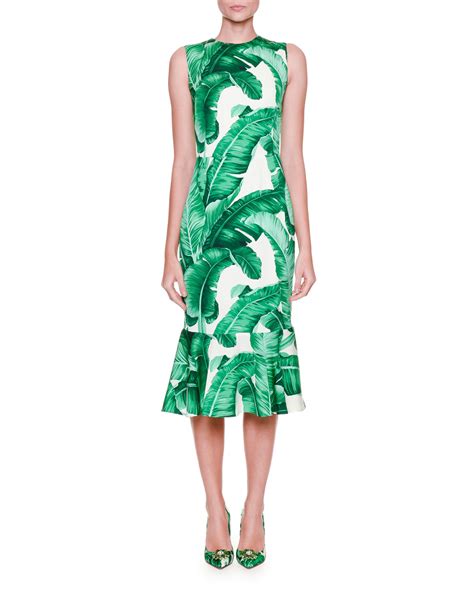 dolce gabbana banana leaf